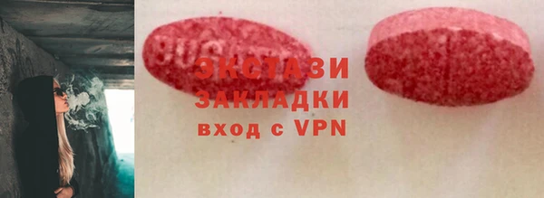 прущие грибы Апатиты