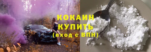 крисы Анжеро-Судженск