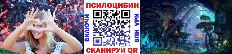 Псилоцибиновые грибы Psilocybine cubensis  Белёв 
